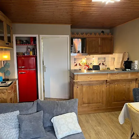 Duplex 2alpes Centre Apartment
